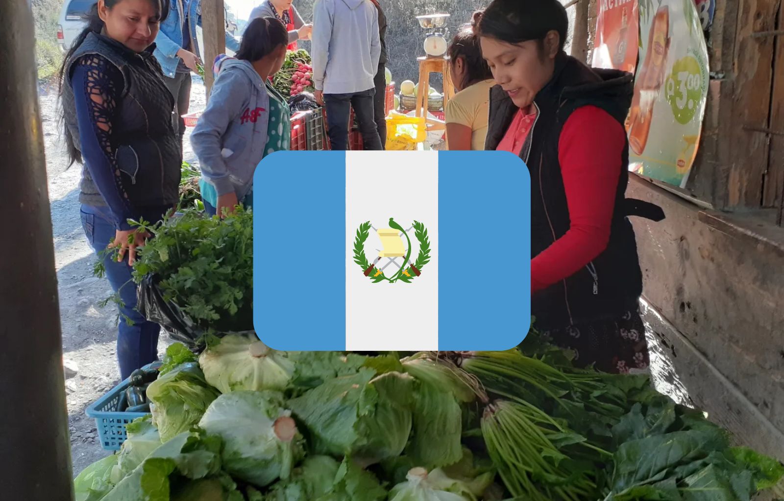 Aumento en el Precio de Frutas y Verduras en Varias Comunidades