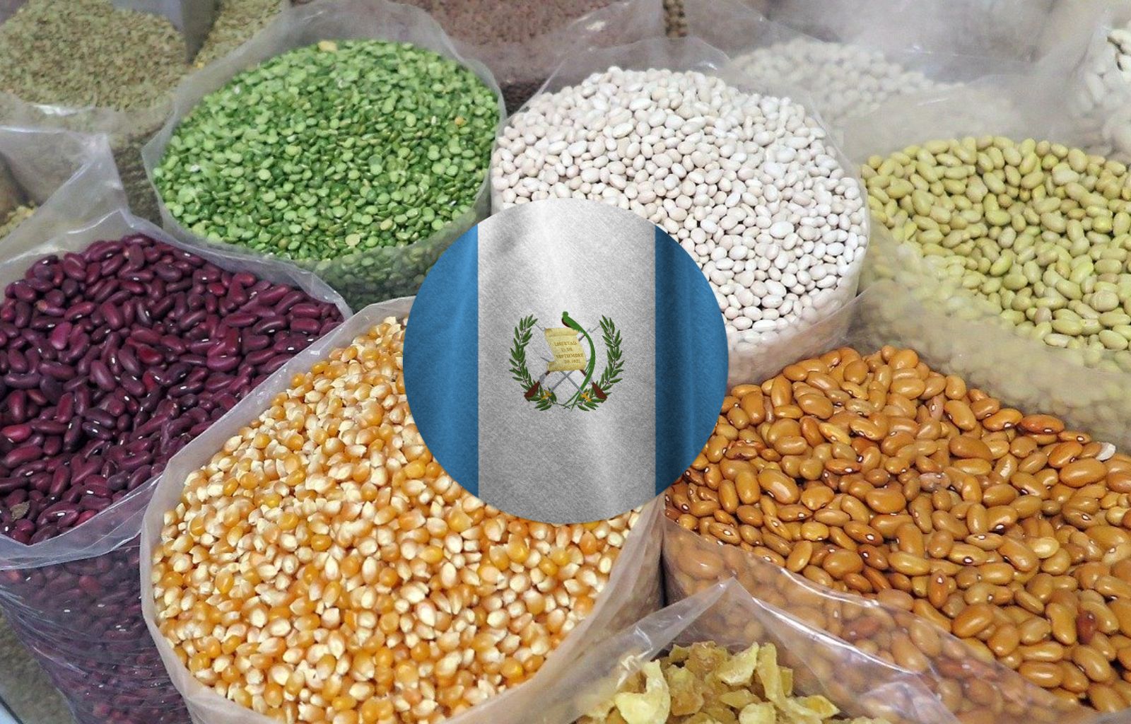 Insólito Aumento del Precio de los Granos en Guatemala