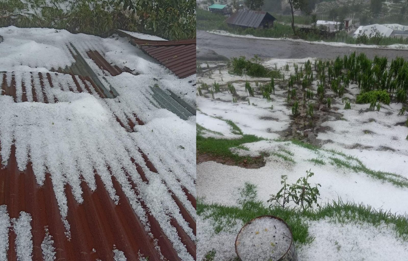 No se lo esperaban! Granizo y Frío Azotan San Marcos: Pobladores Afectado