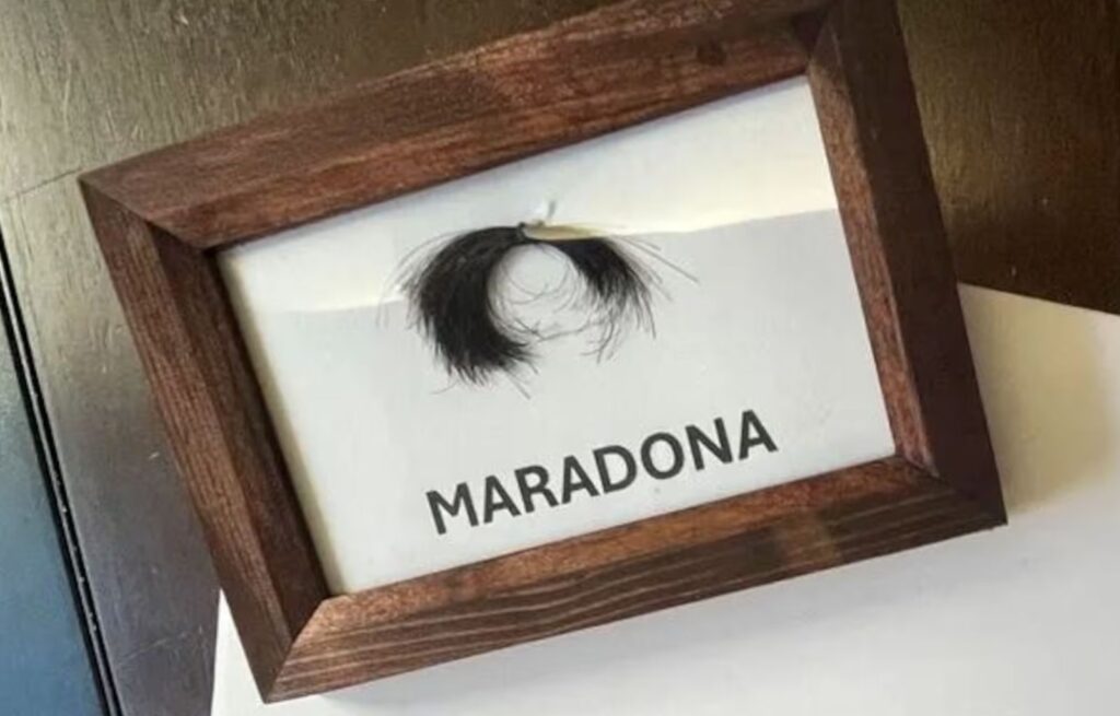 Un mechón de cabello que cuenta una historia ¿Qué hace especial a este artículo