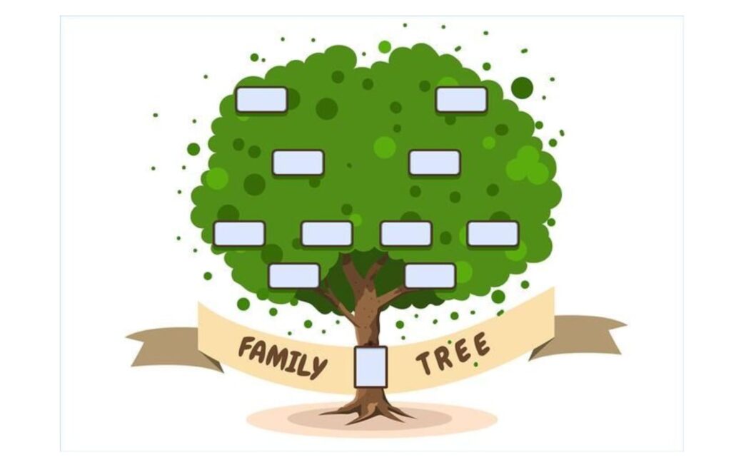 ¿Cómo hacer un árbol genealógico