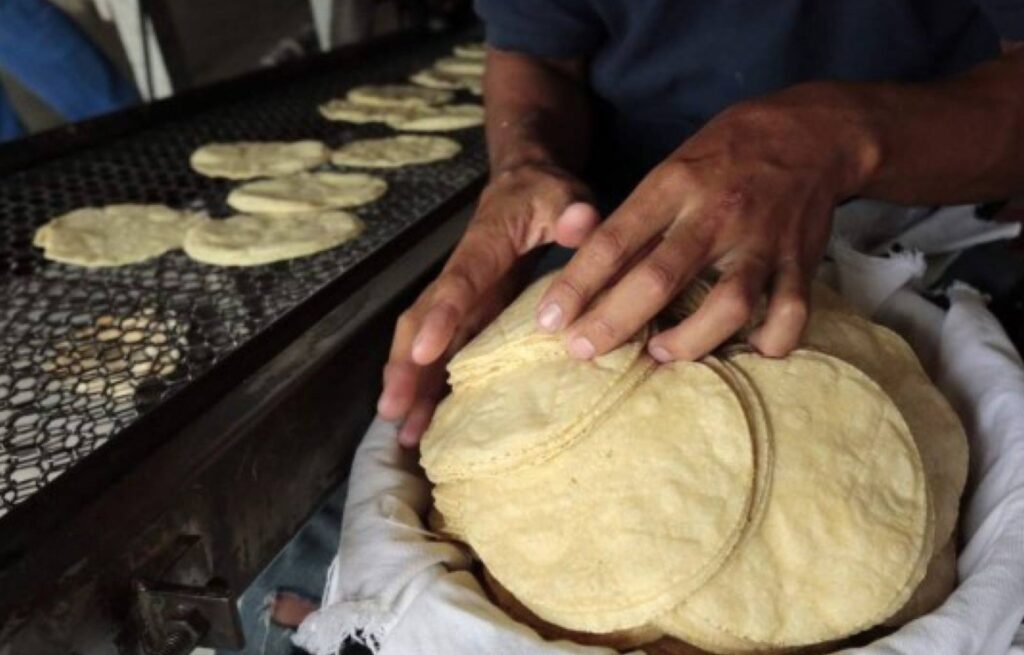 Gobierno de Guatemala Desmiente la Implementación del Impuesto a las Tortillas