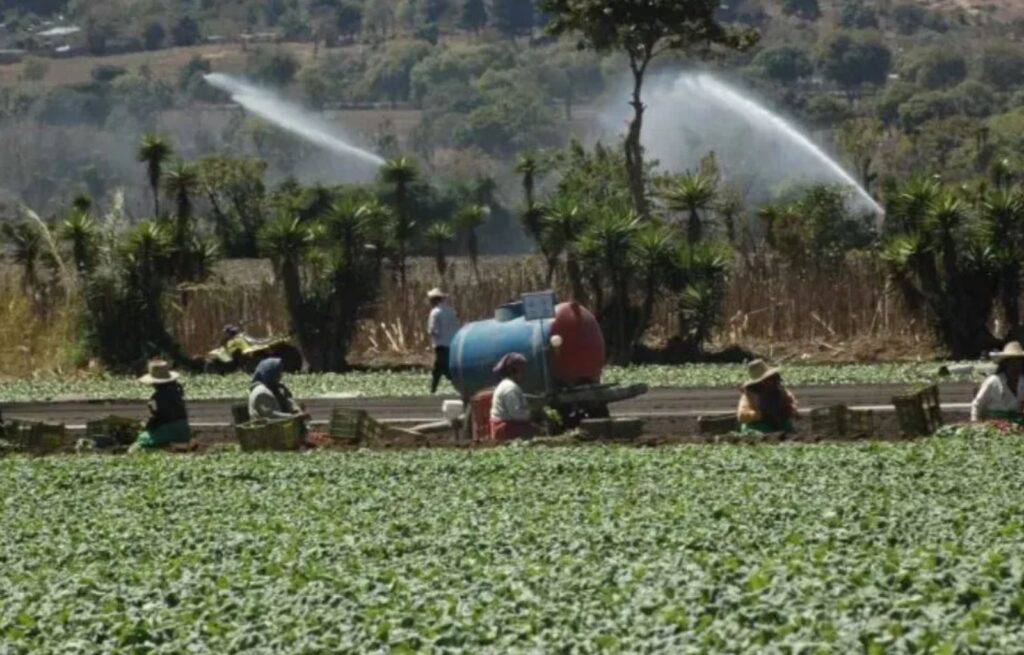 Empresarios guatemaltecos instan a Estados Unidos a mantener condiciones del Tratado de Libre Comercio