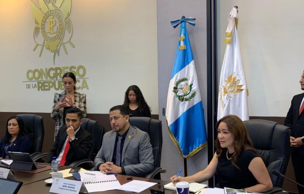 Evelyn Morataya deberá ceder la presidencia de la Comisión de Salud tras resolución de la CC