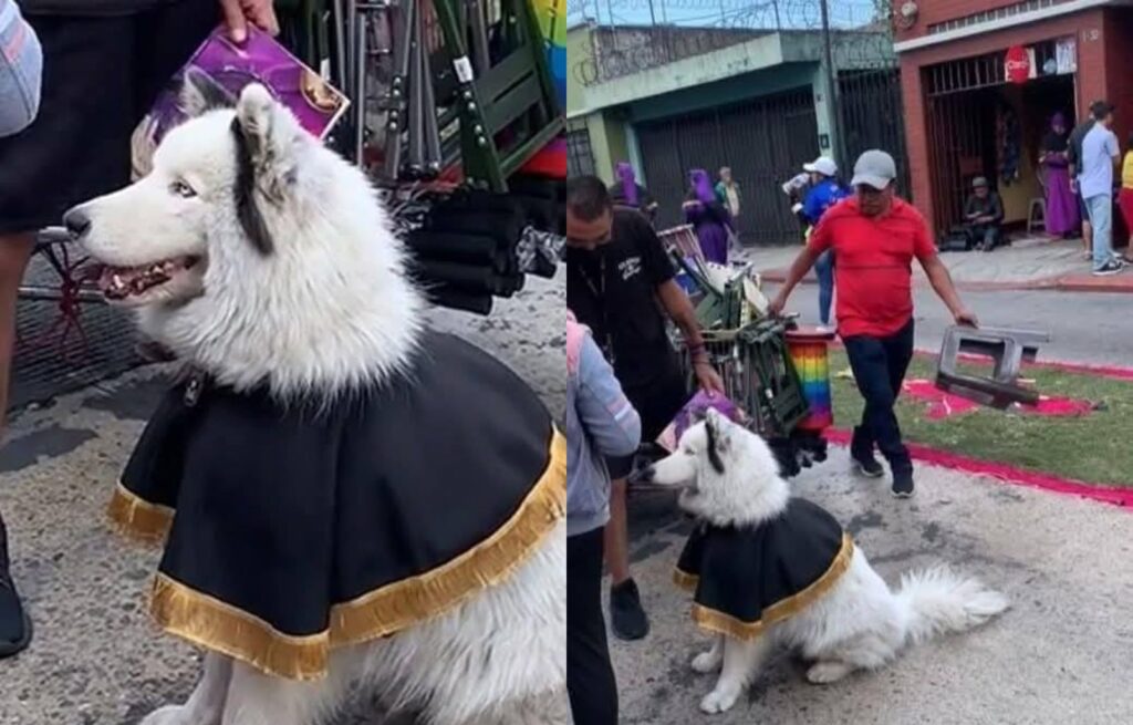 Un inesperado protagonista en la Semana Santa guatemalteca