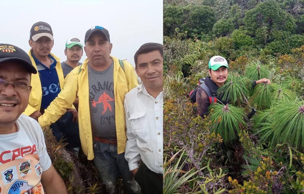 Guatemala un país con deuda pendiente en la protección de sus guardianes ambientales