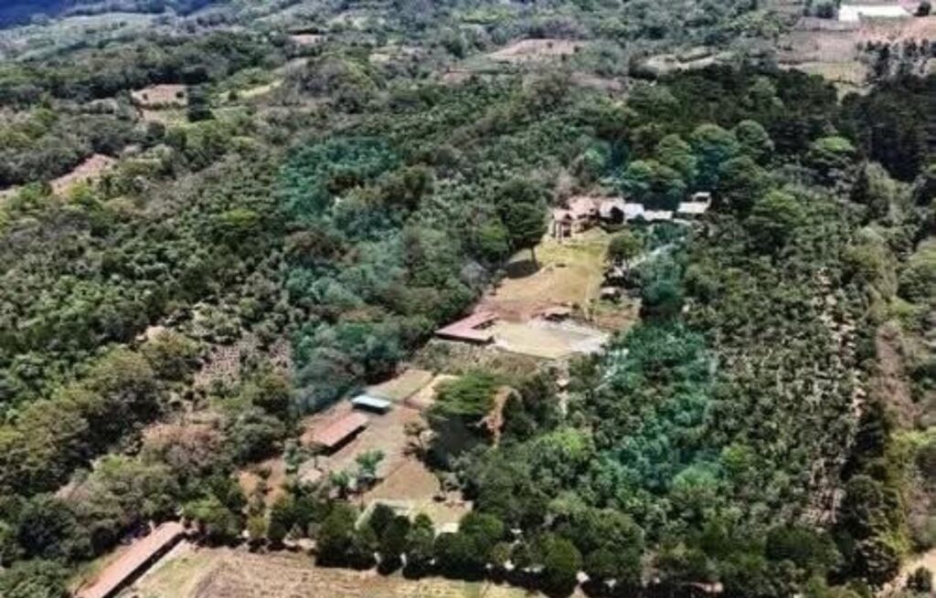 Inmovilizan finca vinculada al expresidente Alejandro Giammattei lujo, controversia y una investigación en curso 