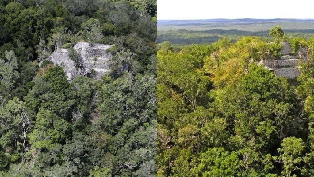 ¿Por Qué es Clave Proteger la Selva de Petén
