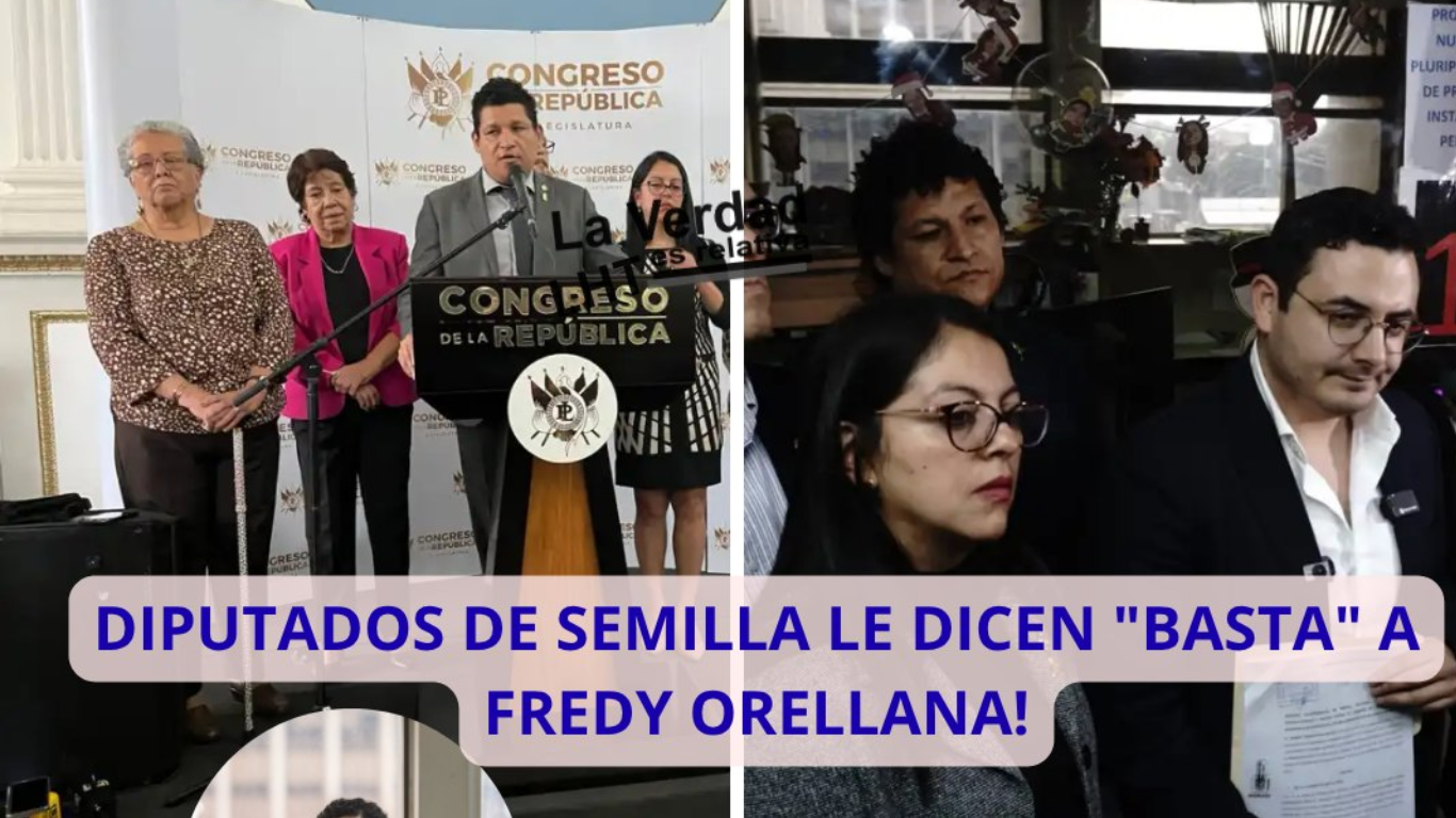 Diputados de Semilla denuncian al juez Fredy Orellana por abuso de poder