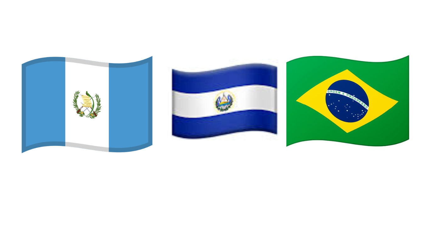 Guatemala, El Salvador y Brasil unen esfuerzos para combatir el crimen organizado