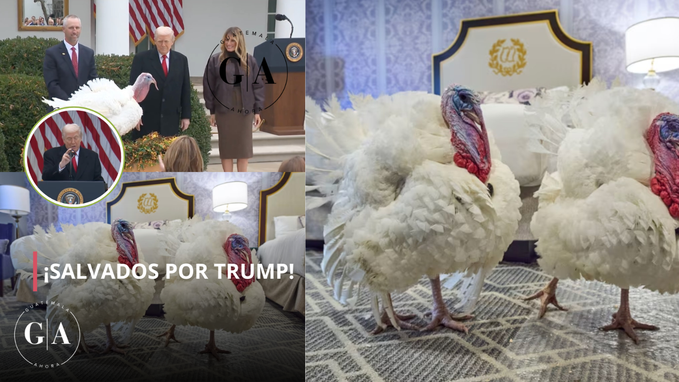 Pavos “Gobble” y “Waddle” reciben el perdón presidencial en la Casa Blanca