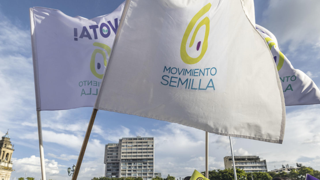Cancelación de Movimiento Semilla y origen de la investigación
