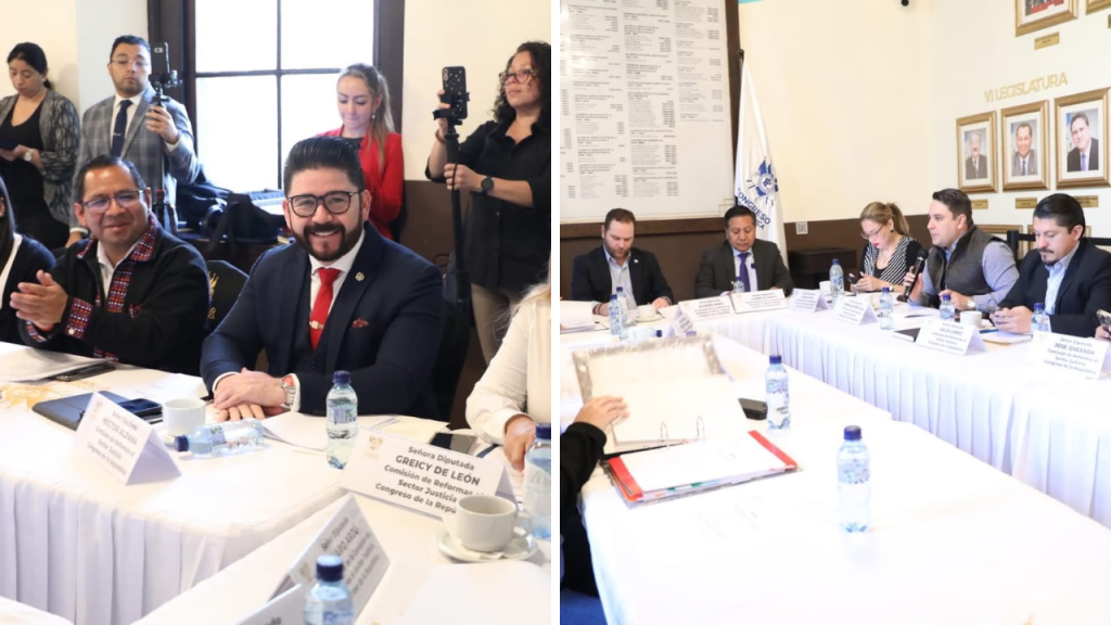 Comisión legislativa da luz verde a iniciativa sobre relaciones familiares ¿Qué establece la iniciativa de ley?