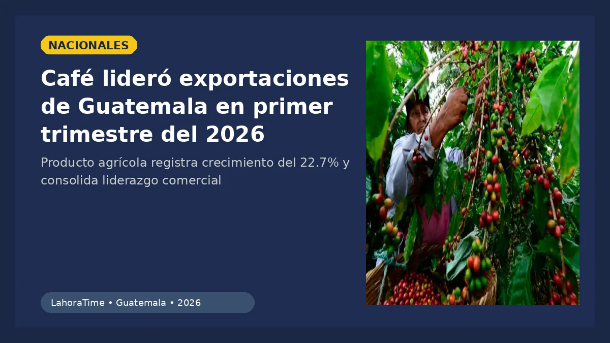 Café guatemalteco lidera exportaciones con 522 millones de dólares en 2026