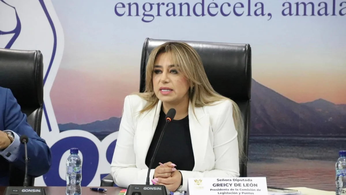 Greicy De León exige garantías constitucionales en la Ley Antilavado