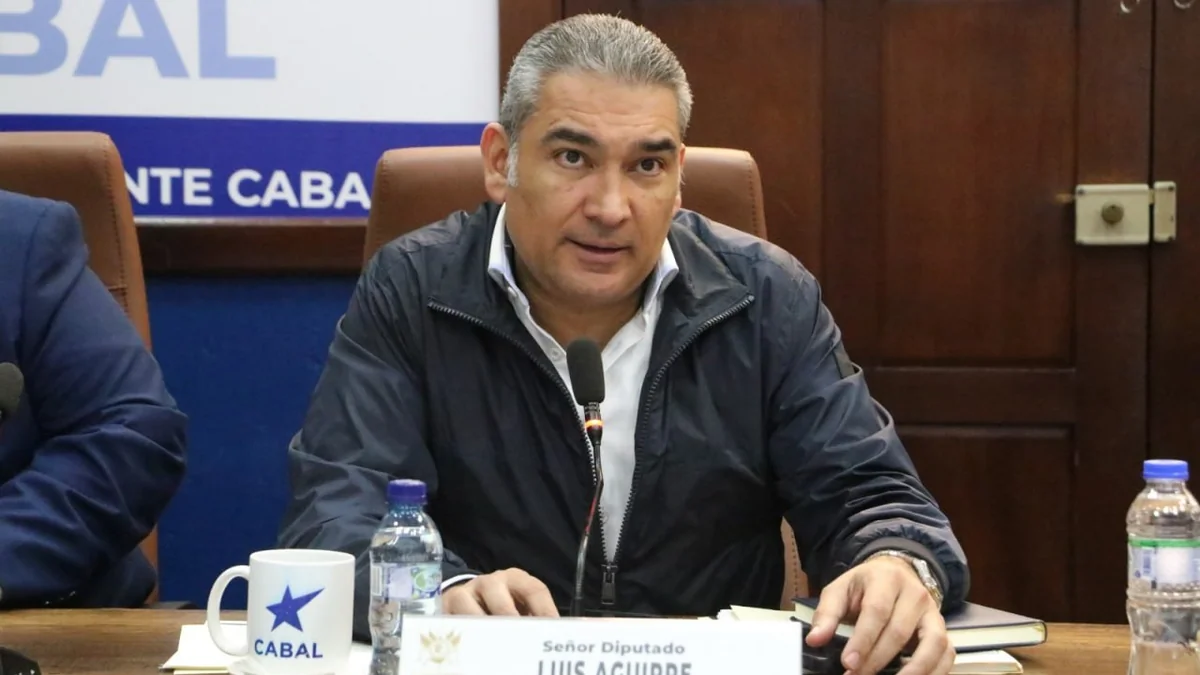Diputado Luis Aguirre denuncia complicidad entre la CNEE y distribuidoras eléctricas