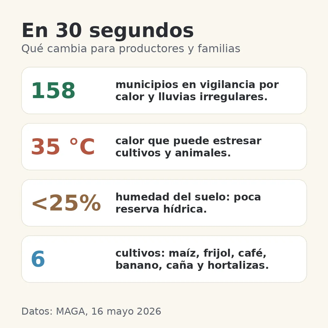 Resumen visual con cuatro datos del boletín del MAGA sobre 158 municipios, calor, humedad del suelo y cultivos en vigilancia