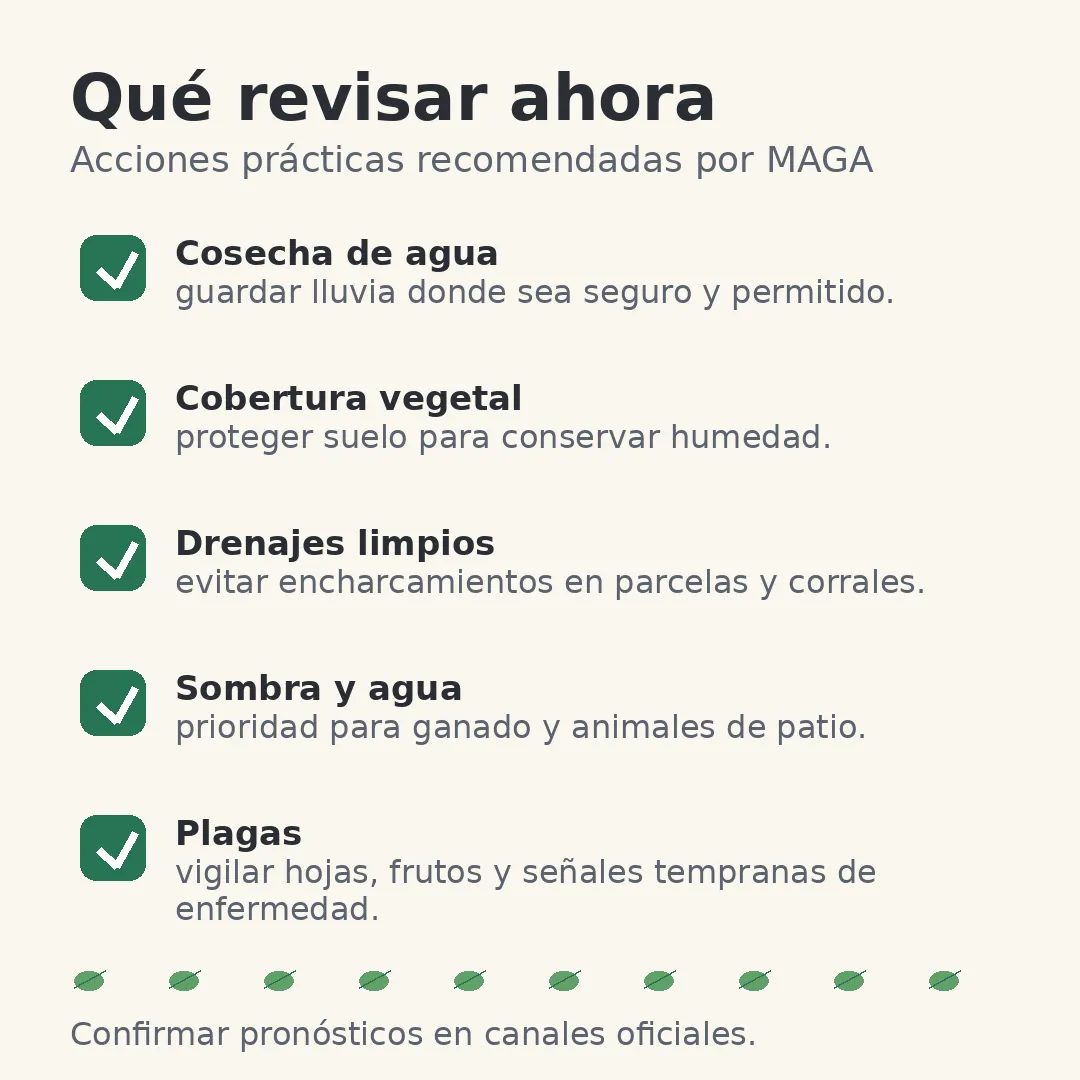 Checklist de acciones para productores ante calor, lluvias irregulares y baja humedad del suelo en Guatemala
